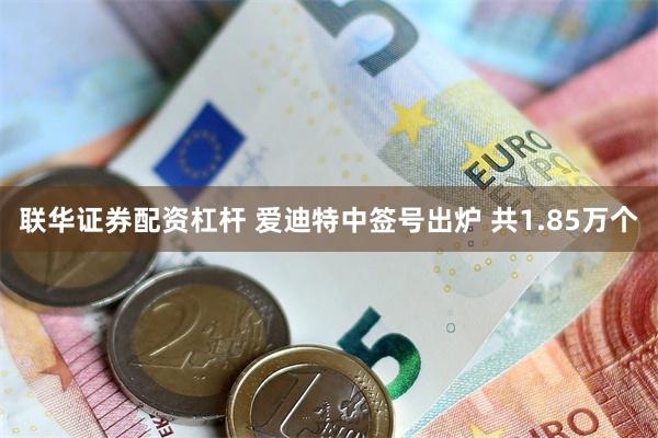 联华证券配资杠杆 爱迪特中签号出炉 共1.85万个