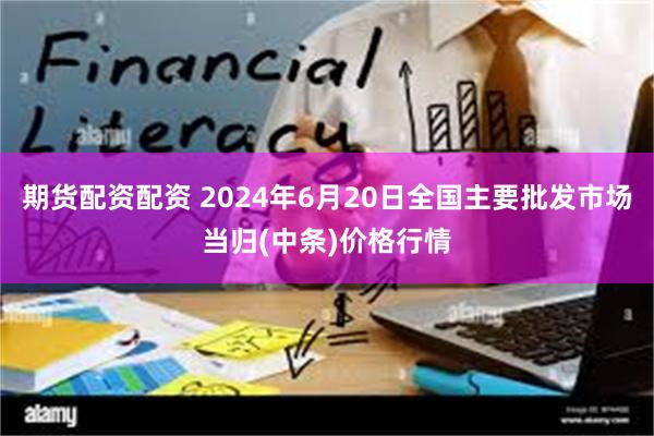 期货配资配资 2024年6月20日全国主要批发市场当归(中条)价格行情