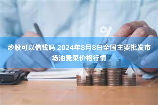 炒股可以借钱吗 2024年8月8日全国主要批发市场油麦菜价格行情