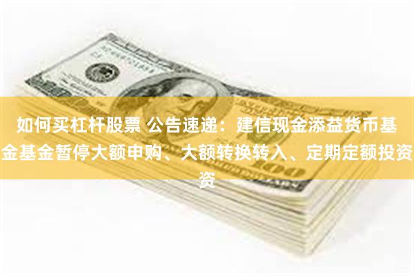 如何买杠杆股票 公告速递：建信现金添益货币基金基金暂停大额申购、大额转换转入、定期定额投资