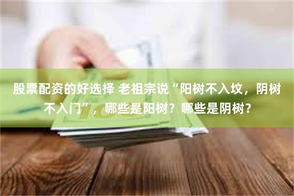 股票配资的好选择 老祖宗说“阳树不入坟，阴树不入门”，哪些是阳树？哪些是阴树？