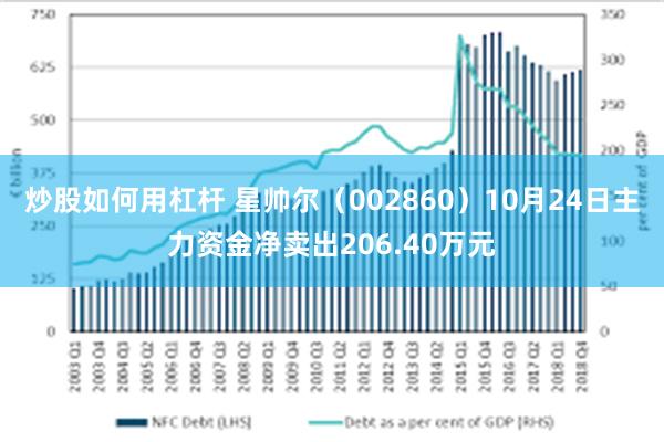 炒股如何用杠杆 星帅尔（002860）10月24日主力资金净卖出206.40万元