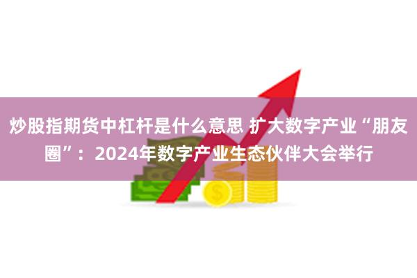 炒股指期货中杠杆是什么意思 扩大数字产业“朋友圈”：2024年数字产业生态伙伴大会举行