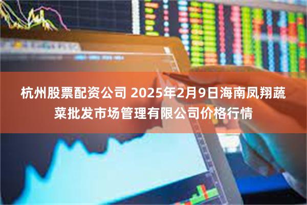 杭州股票配资公司 2025年2月9日海南凤翔蔬菜批发市场管理有限公司价格行情